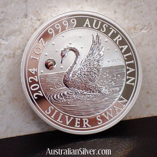 Perth Mint 2024 Silver One Oz Swan - Australian Silver