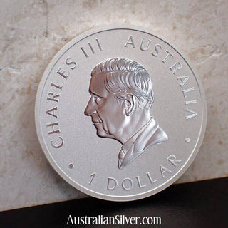 Perth Mint 2024 Silver One Oz Swan - Australian Silver